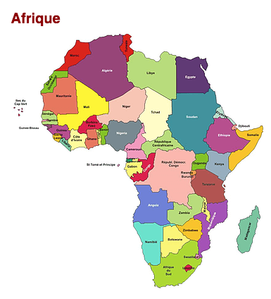Les partanraires de PhDBS en Afrique
